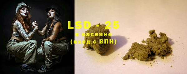 шишки Белокуриха