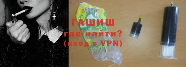 шишки Белокуриха