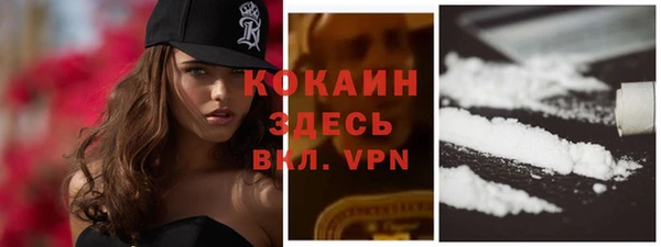 шишки Белокуриха