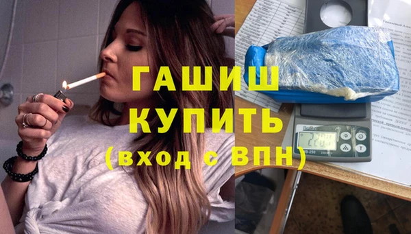 шишки Белокуриха