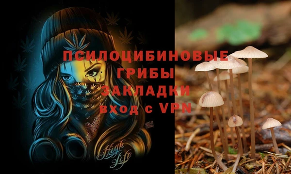 эйфоретик Белоозёрский