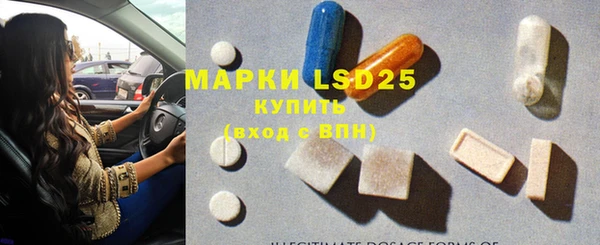 шишки Белокуриха