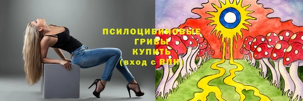 шишки Белокуриха