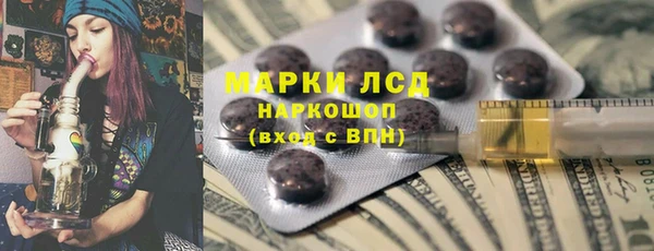шишки Белокуриха