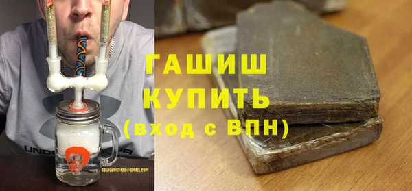 шишки Белокуриха