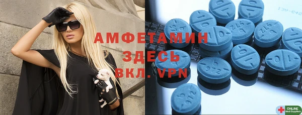 шишки Белокуриха