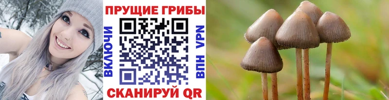 Галлюциногенные грибы мухоморы  Сланцы 