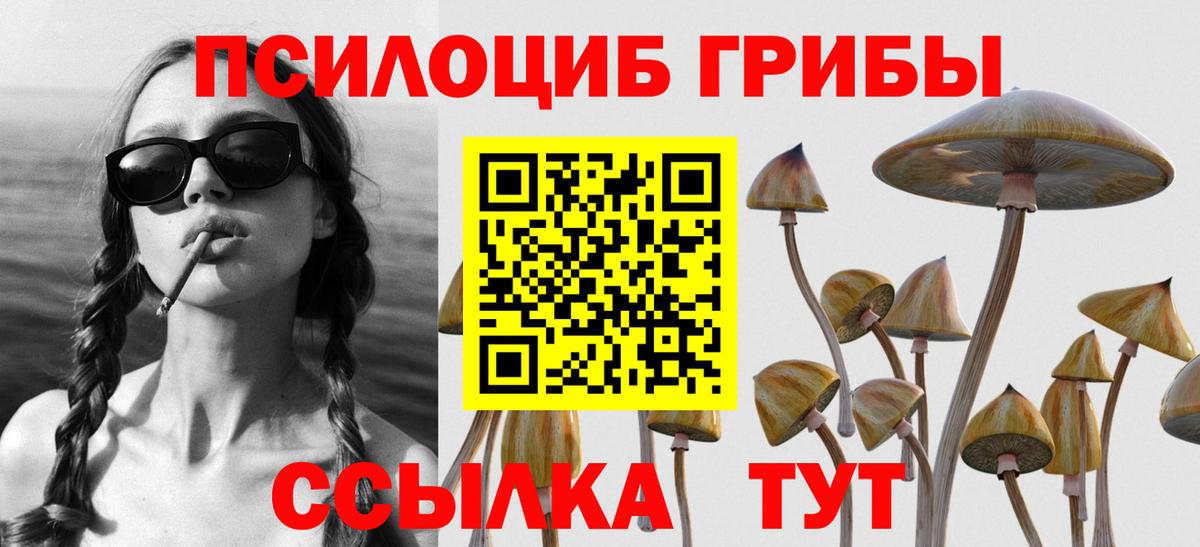 Псилоцибиновые грибы мицелий Сланцы